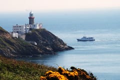 Dublin Bay: Bootstour vom Stadtzentrum nach Dun Laoghaire