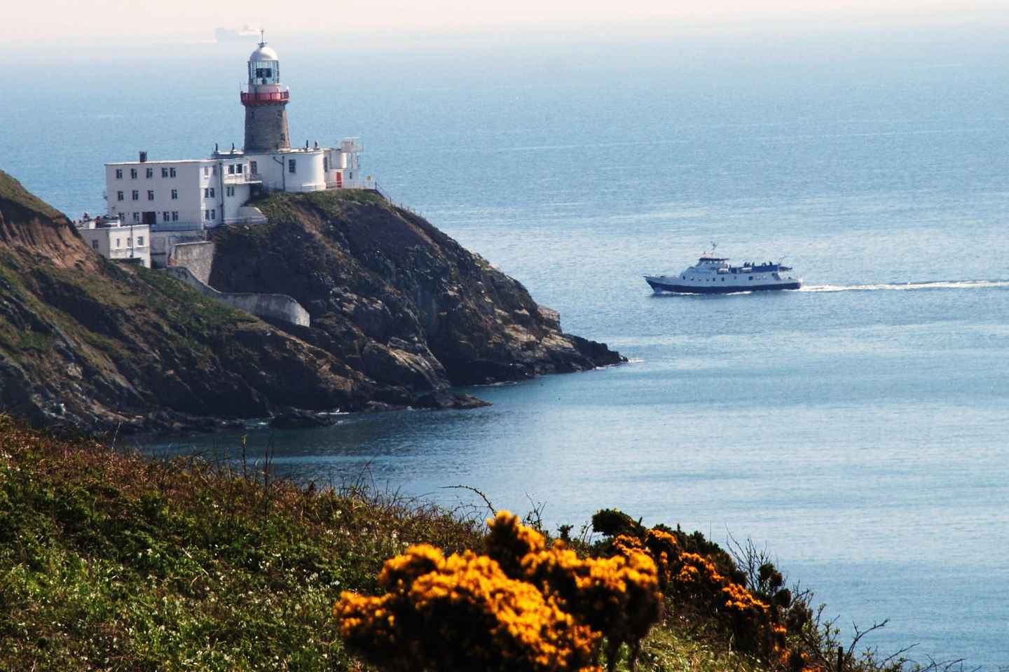 Croisière Dublin : Du Centre à Dun Laoghaire