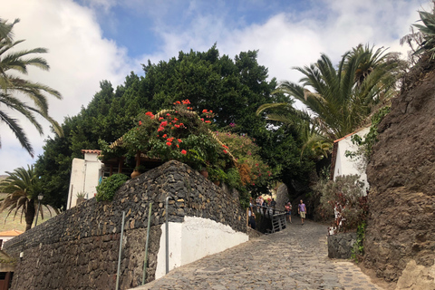 Teneriffa: Dagsutflykt till Teide-berget, Masca, Icod och GarachicoAvresa från södra delen av ön