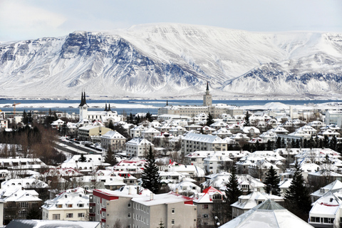 Reykjavik: Guidad rundvandring i staden