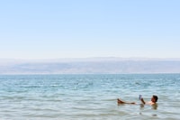 From Tel Aviv, Masada, Ein Gedi, and Dead Sea Guided Tour - Housity