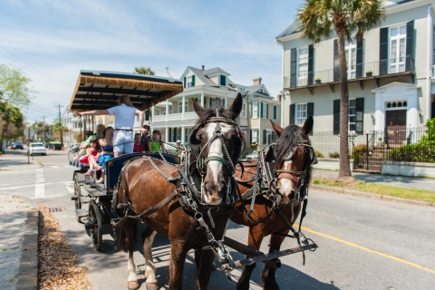 Charleston: visite en calèche d'une heure du quartier historique