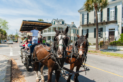 Charleston: recorrido en carruaje de 1 hora por el distrito histórico