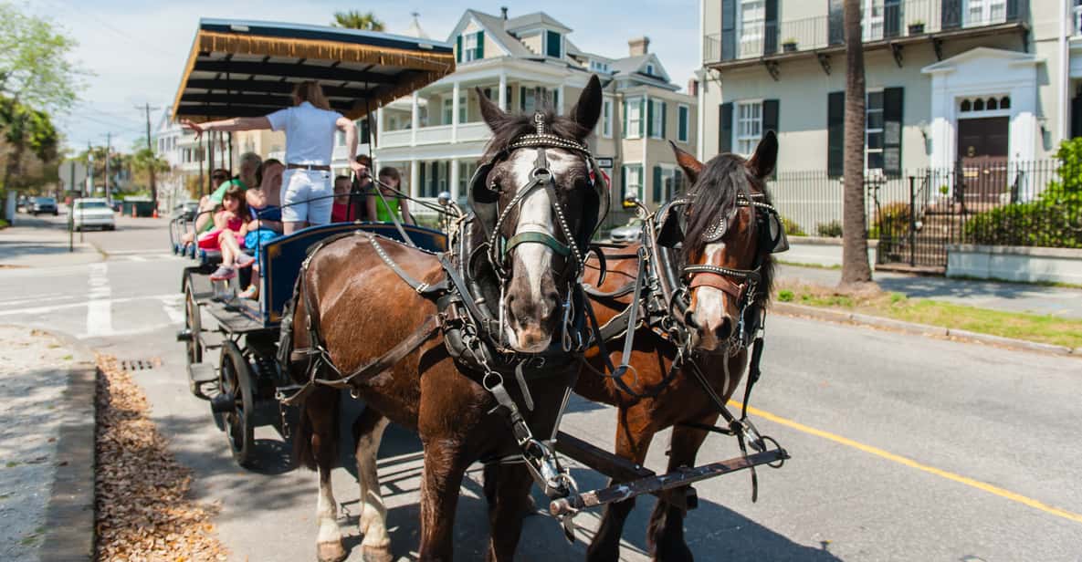 Charleston: 1-Hour Carriage Tour of the Historic District