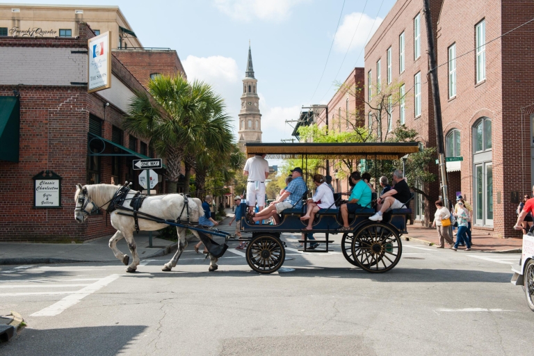 Charleston: 1 uur durende koetstocht door de historische wijk