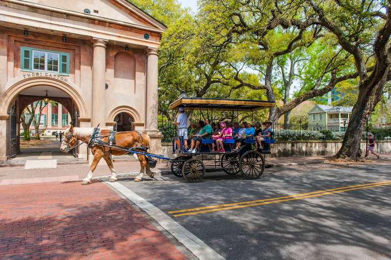 Charleston: 1 uur durende koetstocht door de historische wijk