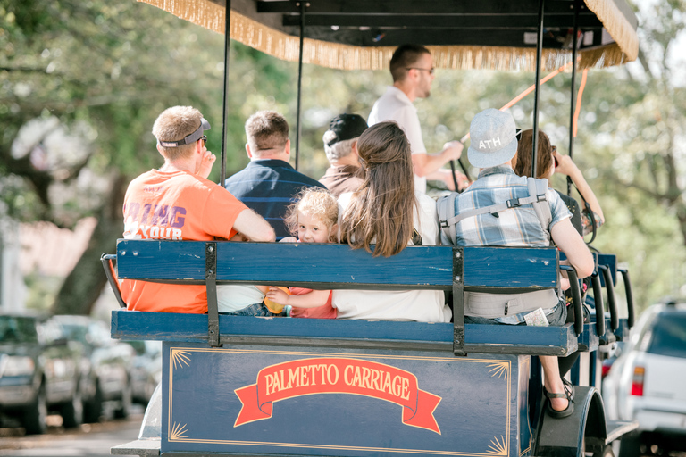 Charleston: 1-Hour Carriage Tour of the Historic District