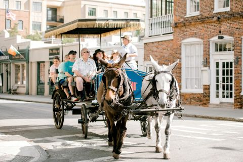 Charleston: 1-timers vogntur i det historiske distriktet