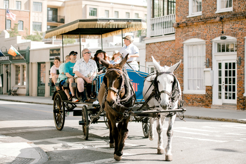 Charleston: 1 uur durende koetstocht door de historische wijk