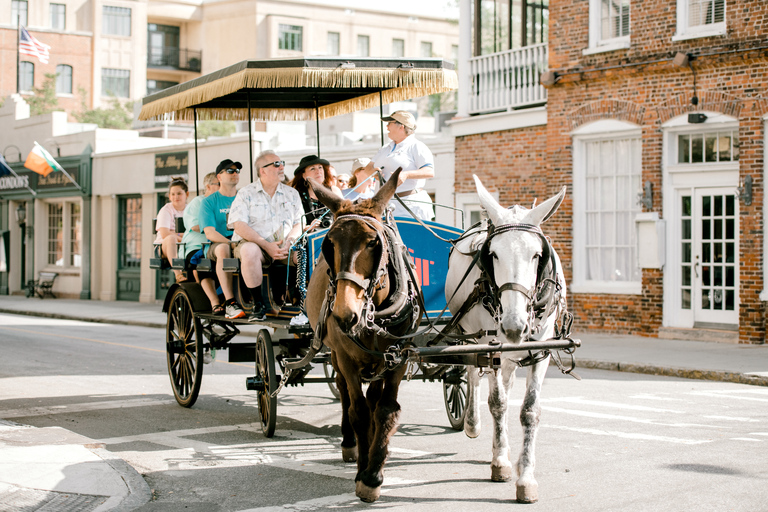 Charleston: visite en calèche d'une heure du quartier historique