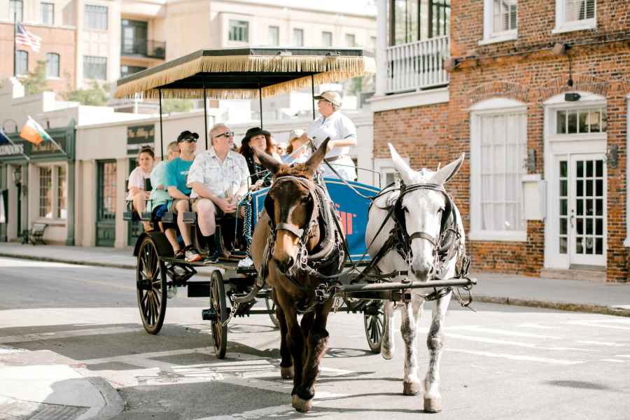 Charleston: 1-stündige Kutschfahrt durch die Altstadt. Foto: GetYourGuide