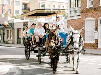 Charleston: 1-stündige Kutschfahrt durch die Altstadt Charleston: 1-stündige Kutschfahrt durch die Altstadt