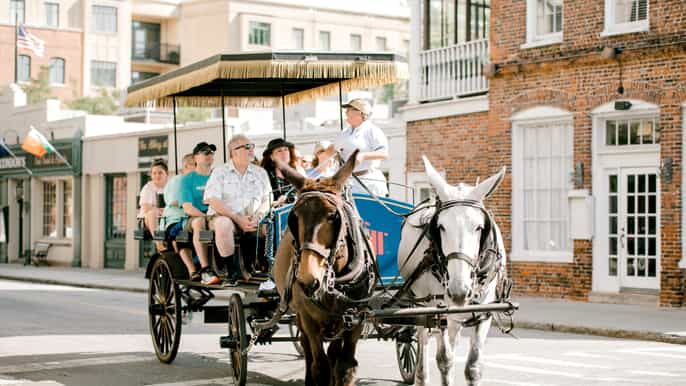 charleston 1hour carriage tour of the historic district