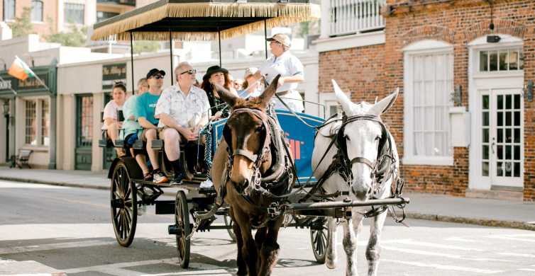 Charleston 1 Hour Carriage Tour of the Historic District GetYourGuide