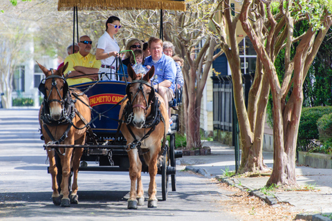 Charleston: excursão de carruagem de 1 hora pelo distrito histórico