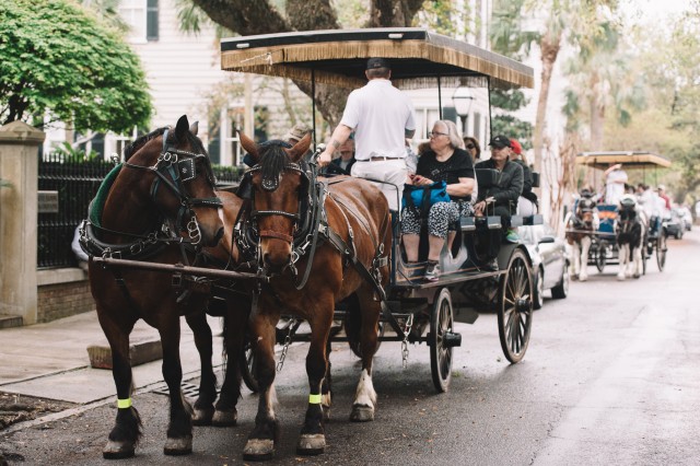 Visit Charleston Downtown Evening Carriage Tour in Charleston