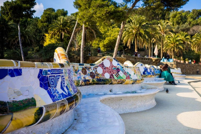 Parque Güell: Visita guiada sin hacer colaVisita guiada en francés