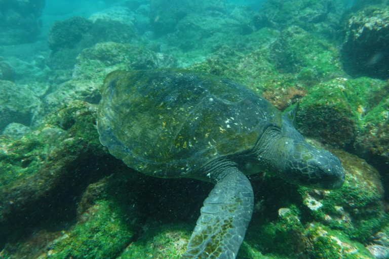 Galápagos: Santa Fe Island Snorkeling and Fishing Tour
