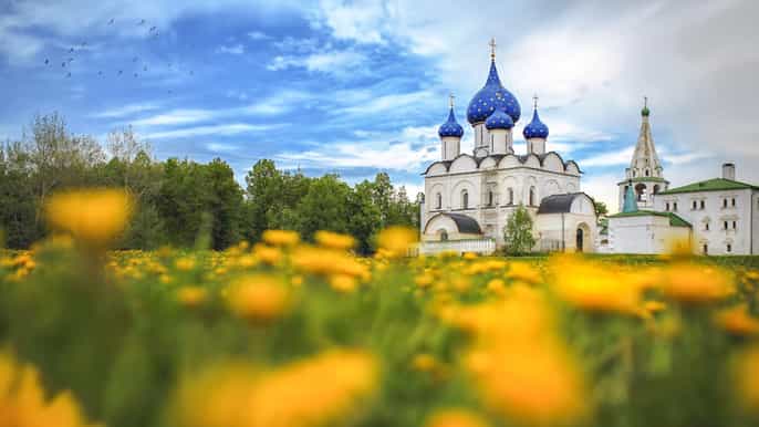 suzdal vladimir golden ring of russia private 1day tour