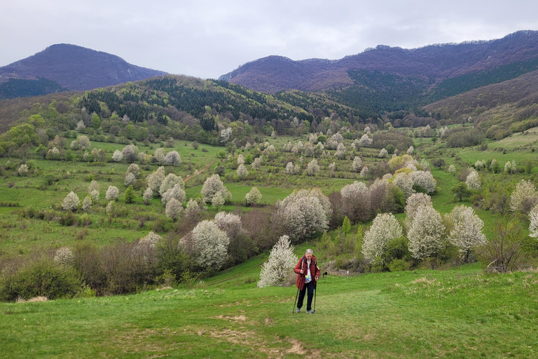 From Cluj: Turda Salt Mine, Gorge, and Remetea Full-Day Trip