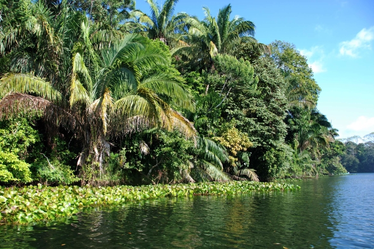Panama City: Monkey Island i Indigenous Village TourWycieczka po hiszpańsku lub portugalsku