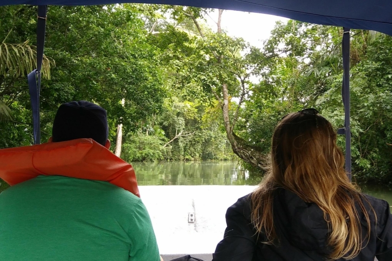 Panama-stad: trip naar Monkey Island en inheems Embera-dorpRondleiding in het Engels