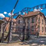 Da Varsavia: Tour guidato ad Auschwitz-Birkenau e a Cracovia