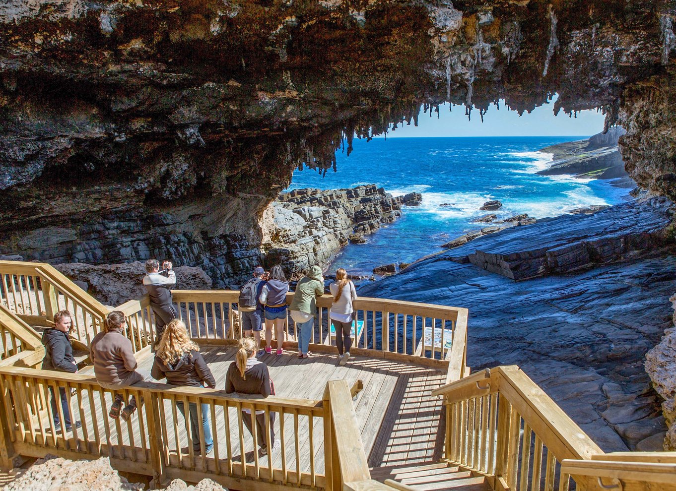 Kangaroo Island heldagsoplevelse med færge inkl. frokost