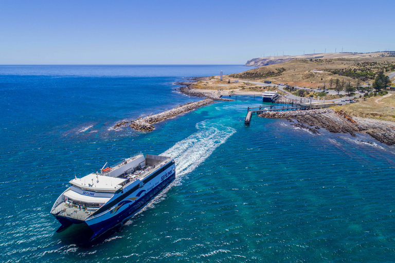 Experiencia de un día en Isla Canguro en ferry con almuerzo