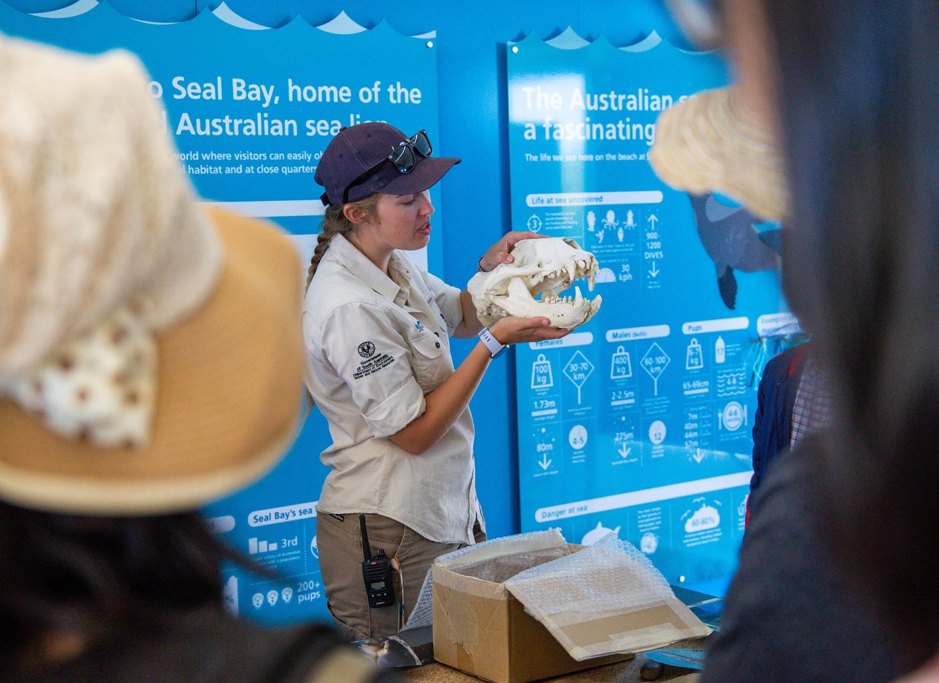 Kangaroo Island heldagsoplevelse med færge inkl. frokost