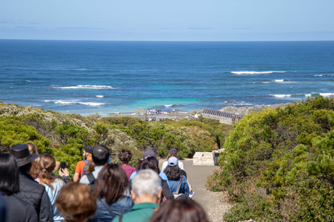 Från Adelaide: Dagsutflykt till Kangaroo Island med lunchFrån Adelaide: Heldagsutflykt till Kangaroo Island med lunch