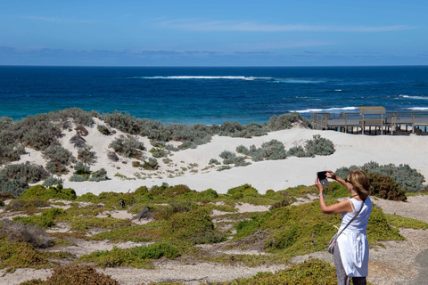 Kangaroo Island: dagtocht met de veerboot, inclusief lunch