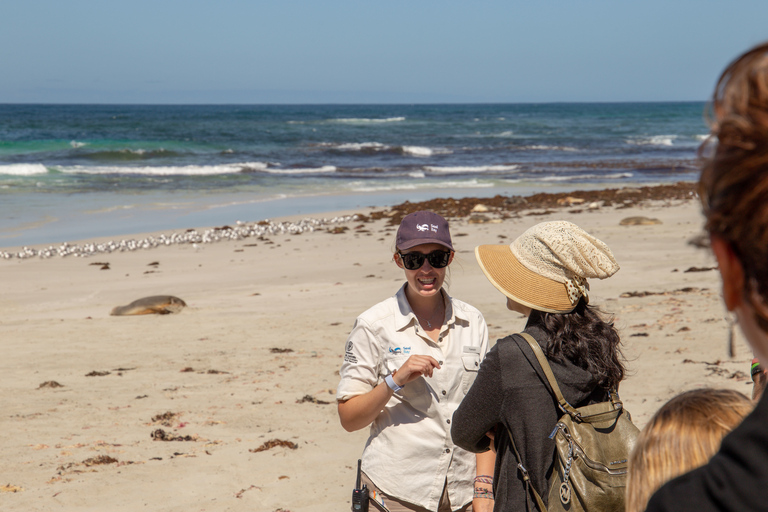 Kangaroo Island: dagtocht met de veerboot, inclusief lunch