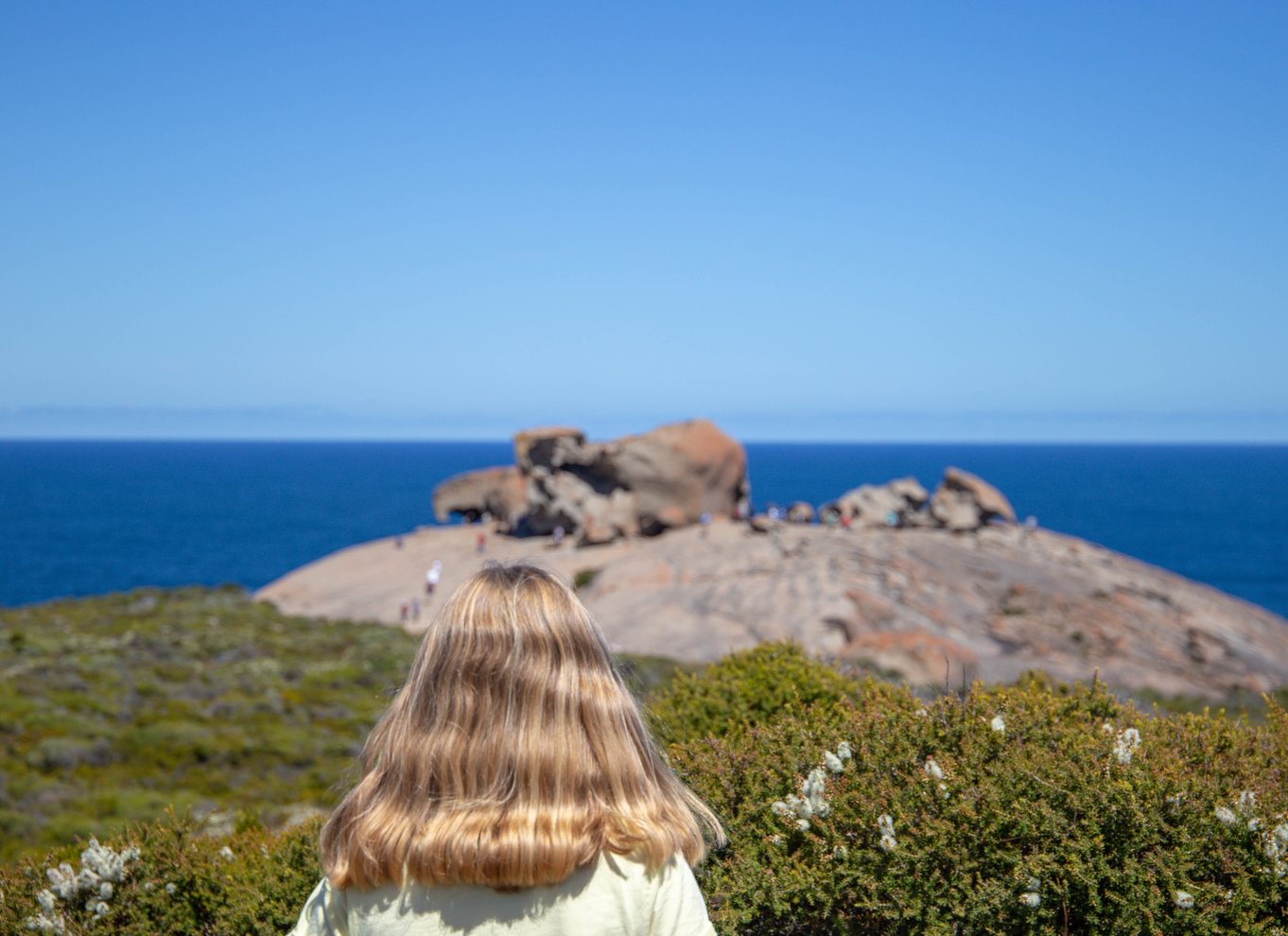 Kangaroo Island heldagsoplevelse med færge inkl. frokost