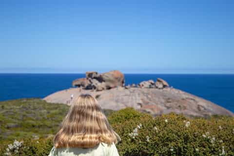 Kangaroo Island Full Day Experience by Ferry Including Lunch