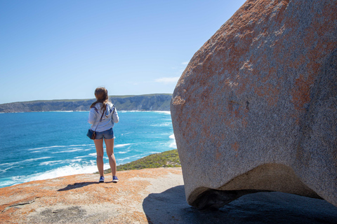 Från Adelaide: Dagsutflykt till Kangaroo Island med lunchFrån Adelaide: Heldagsutflykt till Kangaroo Island med lunch