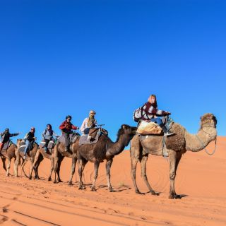 Ab Fes: 3-tägiger Wüstenausflug nach Marrakesch
