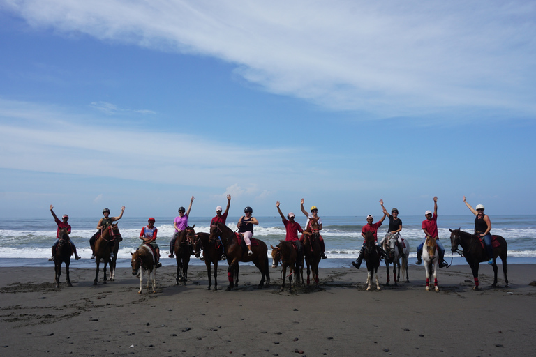 Langudu: Horse Riding on the Beach and in the Rice Fields