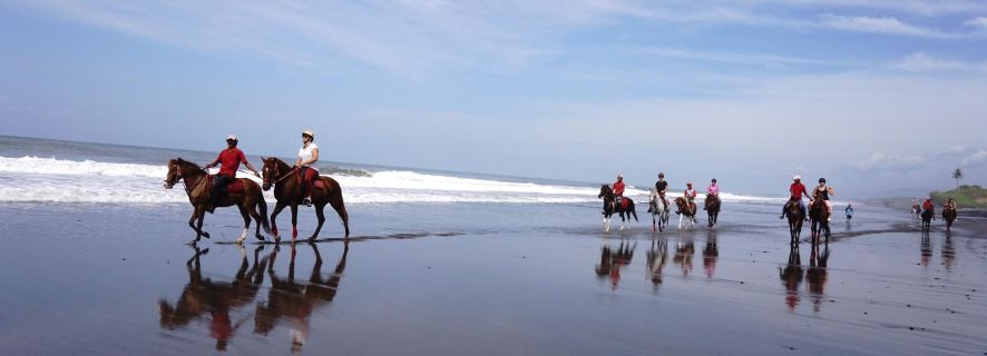 Langudu: Horse Riding on the Beach and in the Rice Fields