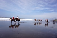 Langudu, paseando a caballo en la playa y en los campos de arroz - Housity