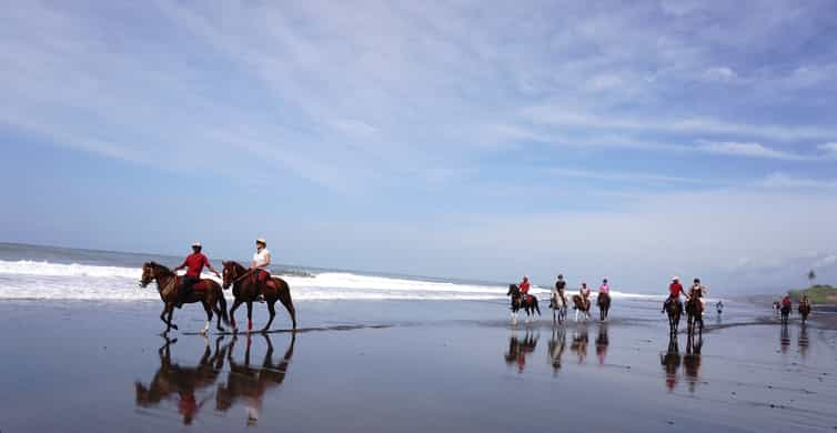 Langudu: Horse Riding on the Beach and in the Rice Fields