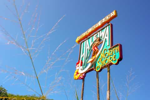 Oahu: Full-Day Island Sightseeing Day Trip by Bus
