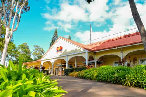 Oahu: Full-Day Island Sightseeing Day Trip by Bus