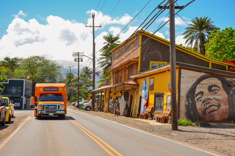 Honolulu: Tour guidato di un giorno intero dell&#039;isola di Oahu in autobus con pranzo