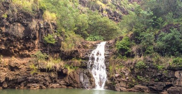 Honolulu: Oahu Island Full-Day Guided Tour by Bus with Lunch