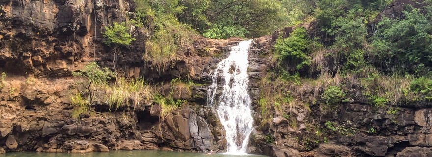 Honolulu : Visite d'une journée de l'île d'Oahu en bus avec déjeuner