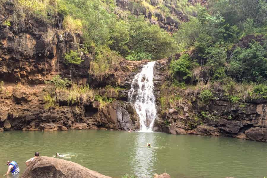 Honolulu: Oahu Island Ganztagestour mit Guide im Bus und Mittagessen. Foto: GetYourGuide Honolulu: Oahu Island Ganztagestour mit Guide im Bus und Mittagessen. Foto: GetYourGuide