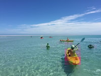 From Hervey Bay, 1/2 day K'gari Fraser Island Beach Cruise - Housity