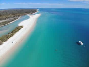 Von Hervey Bay aus: Halbtägige K'gari Fraser Island Beach Cruise