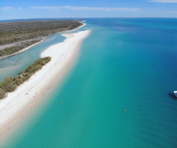 De Hervey Bay: Cruzeiro de meio dia na praia de K'gari Fraser Island